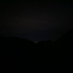 Meet your Posher, George